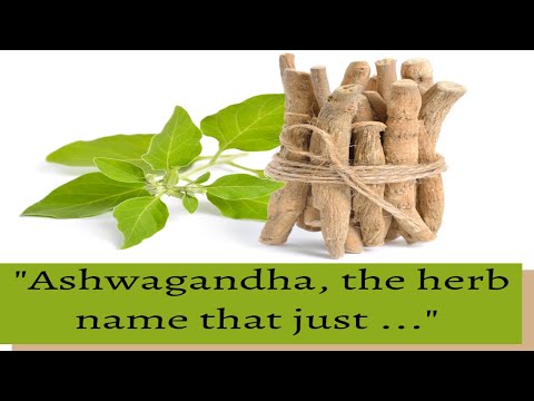 ashwagandha plant and its uses | Rennet | Withania somnifera