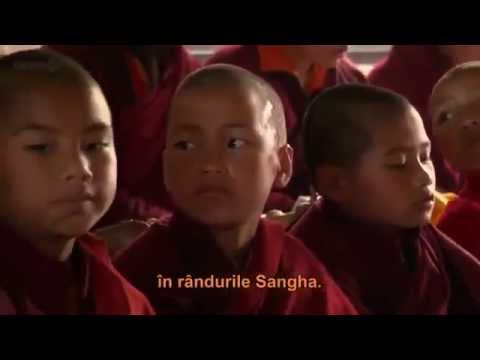 Video: Cum Murim: O Scurtă Explicație A Budismului Tibetan și Mdash; Vedere Alternativă