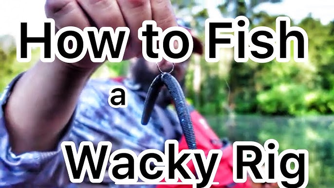 Simple Wacky Jighead Bass Fishing System 