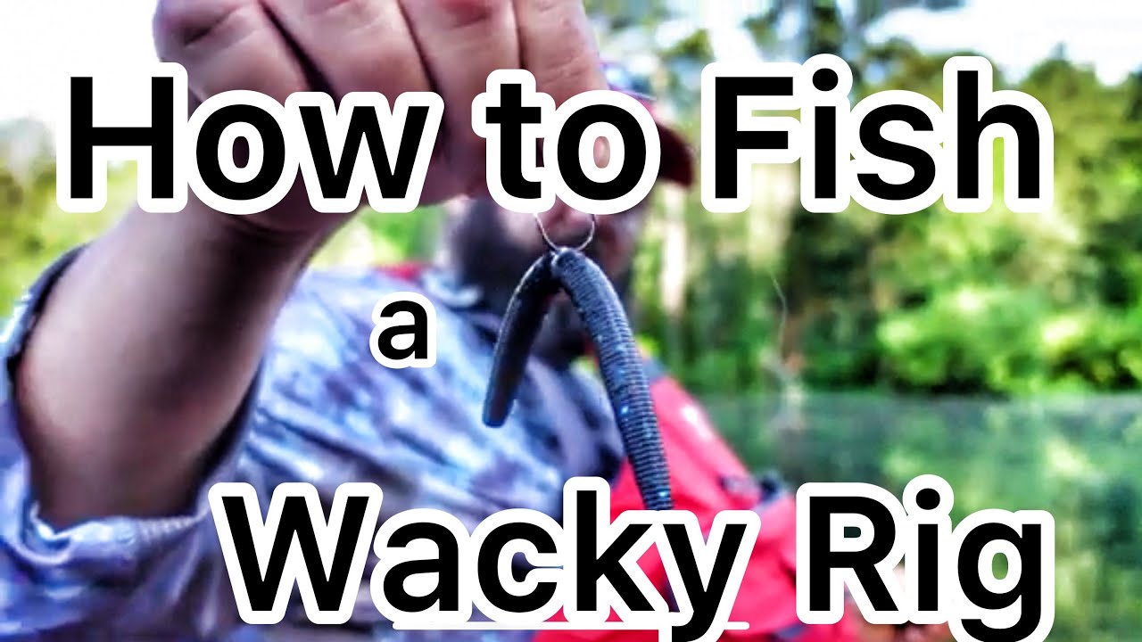 Watch How to Fish a Wacky Rig and Other Details about a Senko