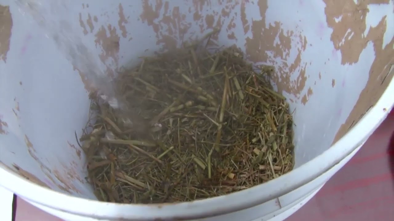 Biocontroladores Serie 3  Cola de Caballo