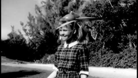 Jump Down, Spin Around Guitar version - Guitar performance video thumbnail