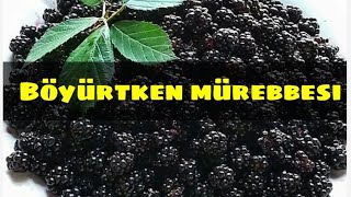 Boyurtken murebbesi Bogurtlen receli