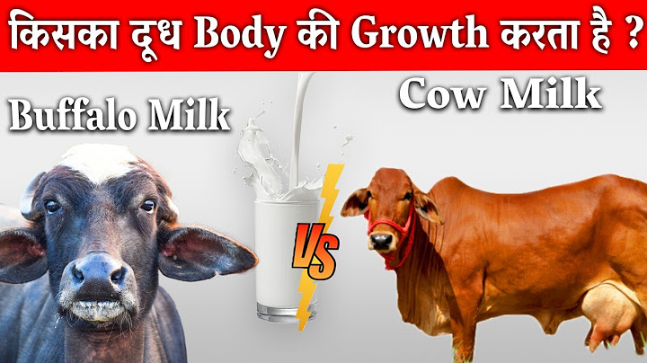 किसका दुध body की growth करता है। cow milk vs buffalo milk । Kush fitness