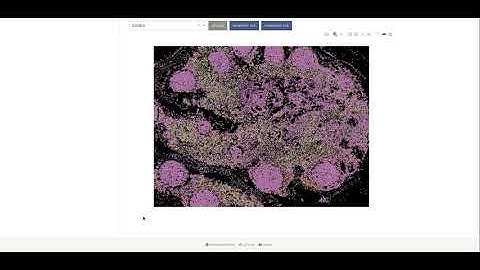 Cellar Demo: Spatial Data Analysis