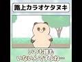 路上カラオケタヌキ #おわっタヌキ