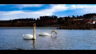 جمال طبيعة النرويج - Noruega /el país más bonito del mundo