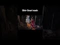 Shiv Gouri nach//#shorts