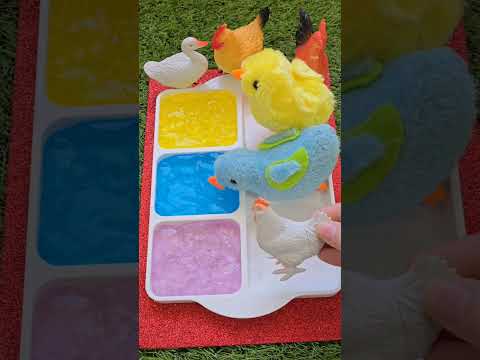 الحقي يا لولو في كتكوت ازرق   