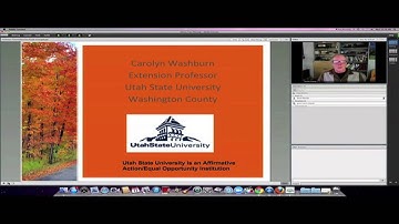 How to Add Content to Adobe Connect
