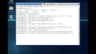 Primeiro Java Applet (Programando, compilando, executando)