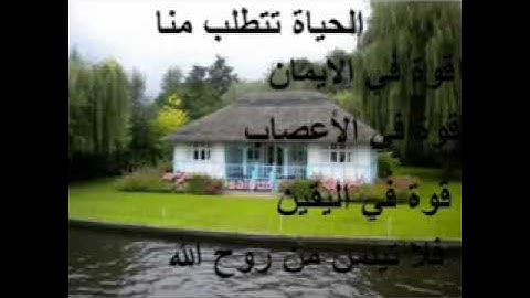 السعاده في قرائه القران الكريم