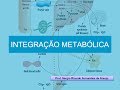 Curso de Bioquimica: Integração Metabólica