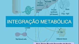 Curso de Bioquimica: Integração Metabólica