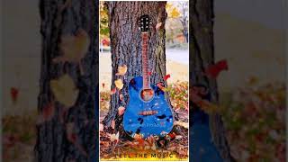 Persion Guitar Ringtone Download For Mobile Phones