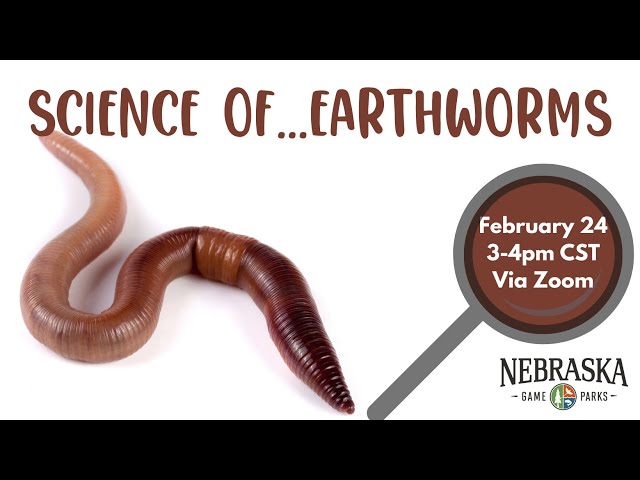 Science ofEarthworms 