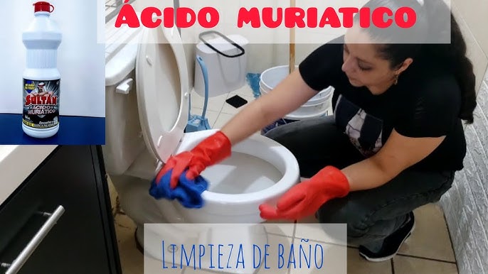 Limpiador con lejía Sanicentro WC, Inodoro, lavabo, bidet, ducha y