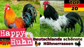 TOP 20 Die schönsten Hühnerrassen aus Deutschland! Von Bielefelder bis Vorwerkhuhn - HAPPY HUHN E31