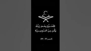 وَلَقَد نَعلَمُ أَنَّكَ يَضيقُ صَدرُكَ بِما يَقولونَ / القارئ هزاع البلوشي