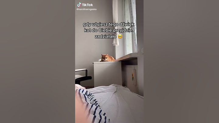 użyj tego dźwięku, a kot do ciebie sam przyjdzie #shorts