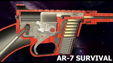 How a AR-7 Survival Rifle Works | Operation and Field Strip | World of Guns