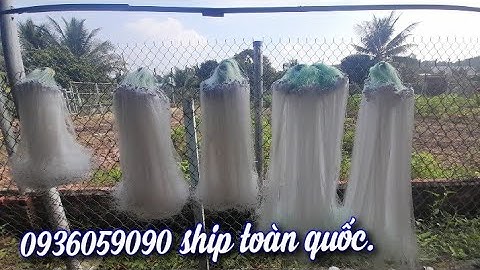 Bán lưới cá lòng tong, lưới cá kèo, lưới cá lìm kìm, lưới cá cơm, 0936059090. ship toàn quốc.