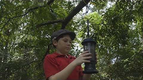 VIC3001 Module 3 Activity