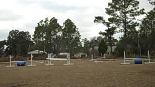 Kiwi and i jumping a 2ft course today