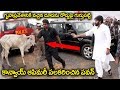 హైవేలో కాన్వాయ్ ఆపిన పవన్..Power Star Pawan Kalyan Stopped His Convoy For Baby Calf | Exclusive HD Mp3