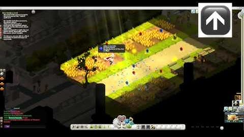 Wakfu puzzle  How turnip a seed