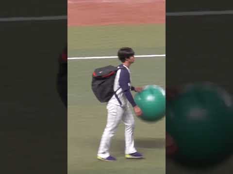 長谷川 宙輝 投手　バランスボールで巧にドリブル　サラサラヘアー　#東京ヤクルトスワローズ #shorts