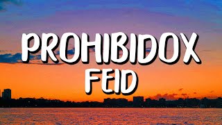 Feid - Prohibidox (Letra/Lyrics)