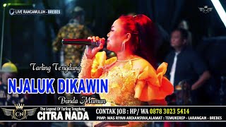 NJALUK DIKAWIN ~ VERSI TENGDUNG // CITRA NADA LIVE DESA RANCAWULUH // BULAKAMBA - BREBES