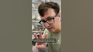 Tripple Flushes - how to get the most from a mushroom grow block