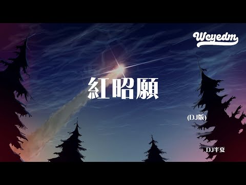 DJ半夏 红昭愿 DJ版 你还在我的心上 手中雕刻生花 動態歌詞 Pīn Yīn Gē Cí DJ半夏 红昭愿 動態歌詞