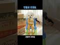 택배의 비밀