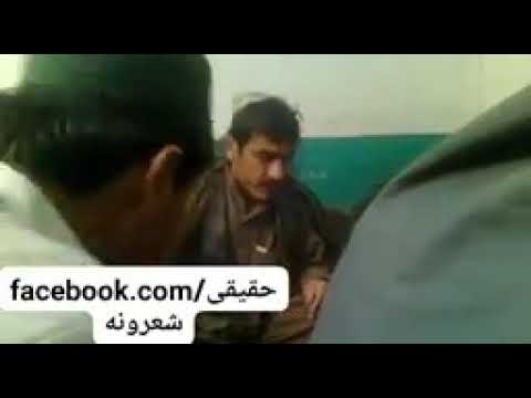 سلام شوقي 2010