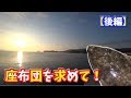 【カレイ】座布団鰈を求めてたらエグイ引きが…【後編】【車中泊】