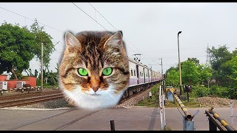 Angry CAT Face EMU Local Train : Dangerous & Furious Moving Throughout Railgate
