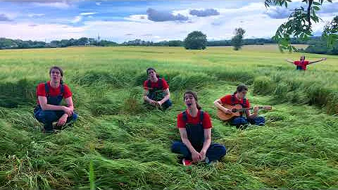 Paula - Jacob Collier  _ #Jazz