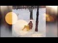 Я катаюсь с горки )  масса удовольствия ))) | Downhill riding in Winter