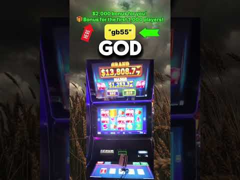 #макао #macao #casino #казино