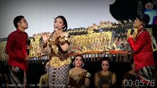 Download Lagu 🎶 Pamer Bojo - Cak Percil Ft Diwang MP3 Download Lagu 🎶 Pamer Bojo - Cak Percil Ft Diwang MP3