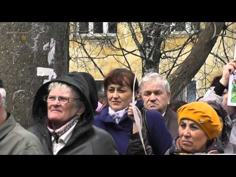 Митинг против полигона ТБО в дер. Осинцы