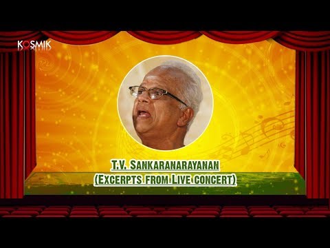 T.V. Sankaranarayanan (Excerpts From Live Concert)