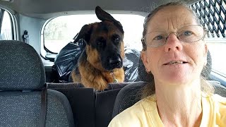 Join us (#recyclingtrip) by Adventures with Lycan my German Shepherd Dog 149 views 1 month ago 3 minutes, 3 seconds