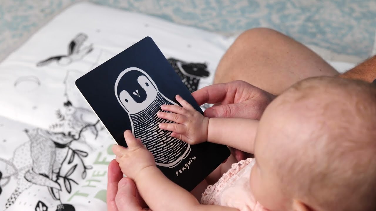 Art Cards for Baby, Newborn, Infant - High Contrast Black & White Animals – Wee Gallery art-cards-for-baby-newborn-infant-high-contrast-black-white-animals-wee-gallery