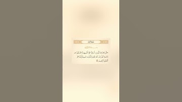 القارئ | عبد البديع محمد غيلان 🎧🤍 [سورة الزمر : الآية 53]