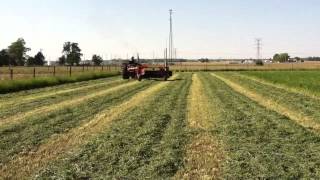 IH 1456 restored mowing hay
