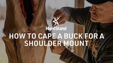 How To Cape A Buck For A Shoulder Mount